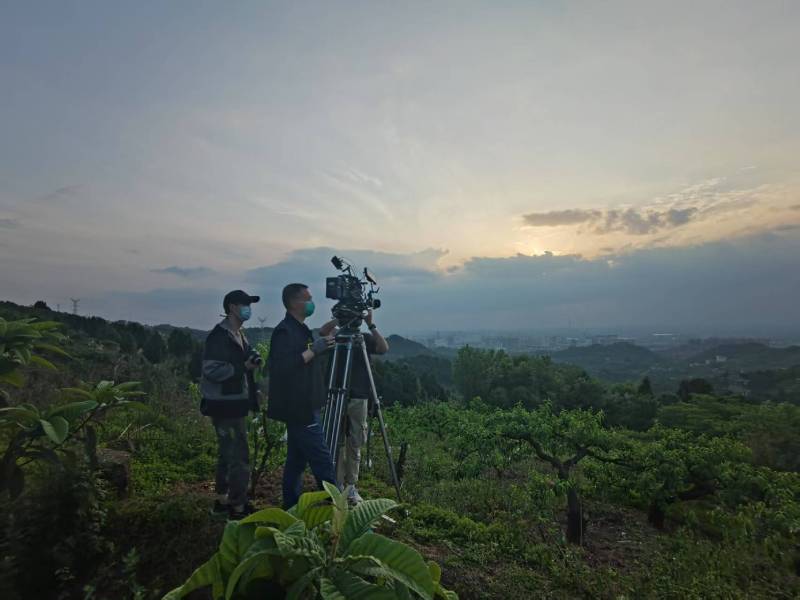 创意破圈！建瓯市电商产品宣传视频用故事化叙事引爆流量