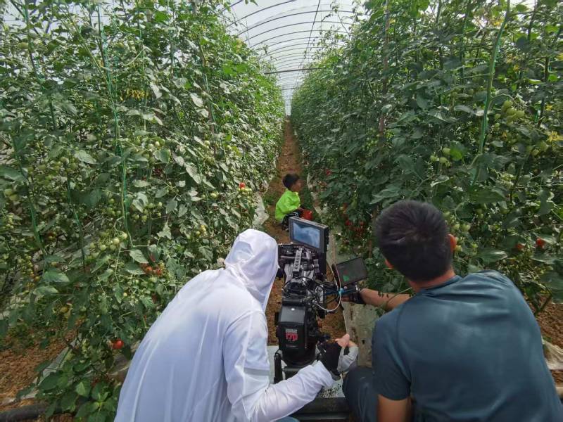 建瓯市产品宣传视频拍摄公司进阶指南，助力品牌抢占传播高地